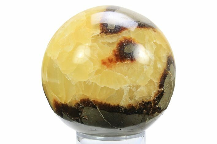 Polished Septarian Sphere - Madagascar #289950